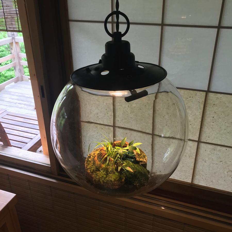 Ryokan Nanzenji Yachiyo Established In 1915