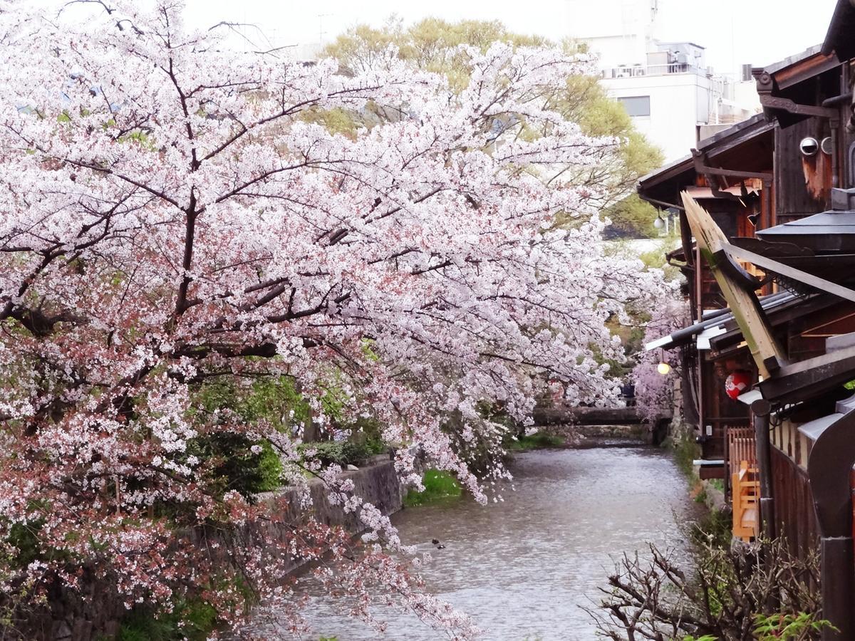 Kyomachiya Ebisu Guest house