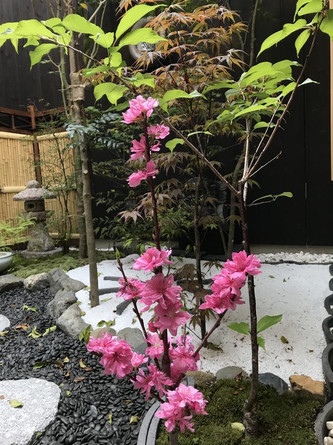 Guest house Machiya Kyo Miyabi Kyoto