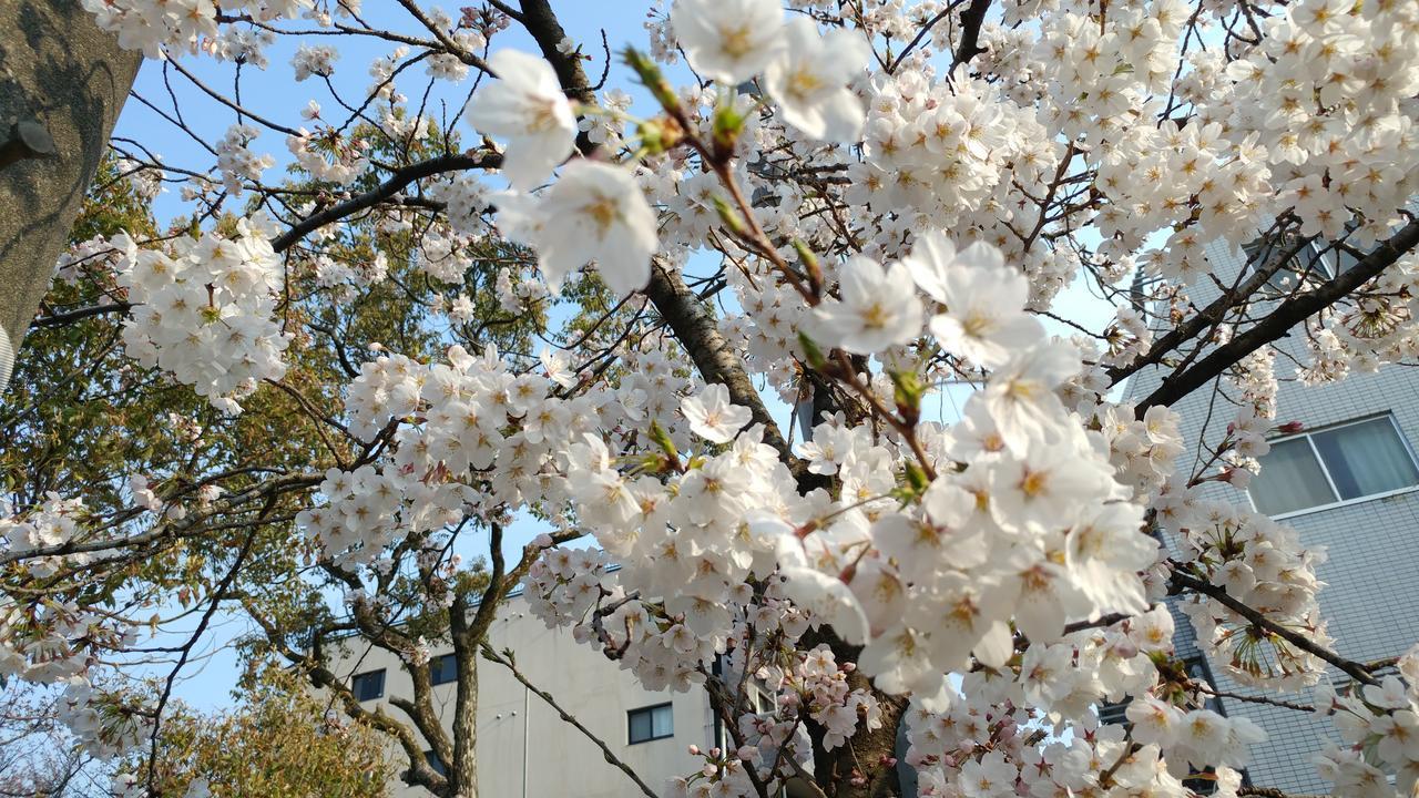 Kyoto-gion Tourist House *