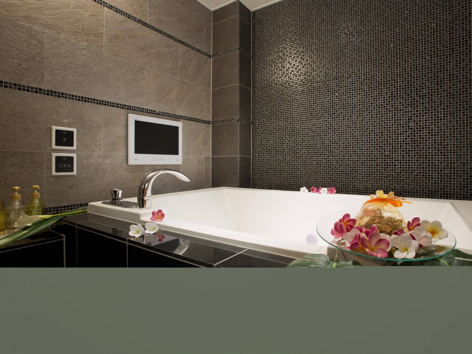 And Lotus Modern (adults Only)