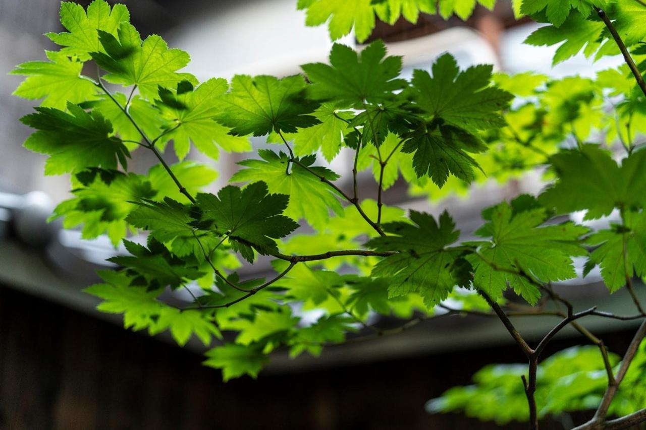 Gion Yururi / Vacation 4147 Holiday home Kyoto