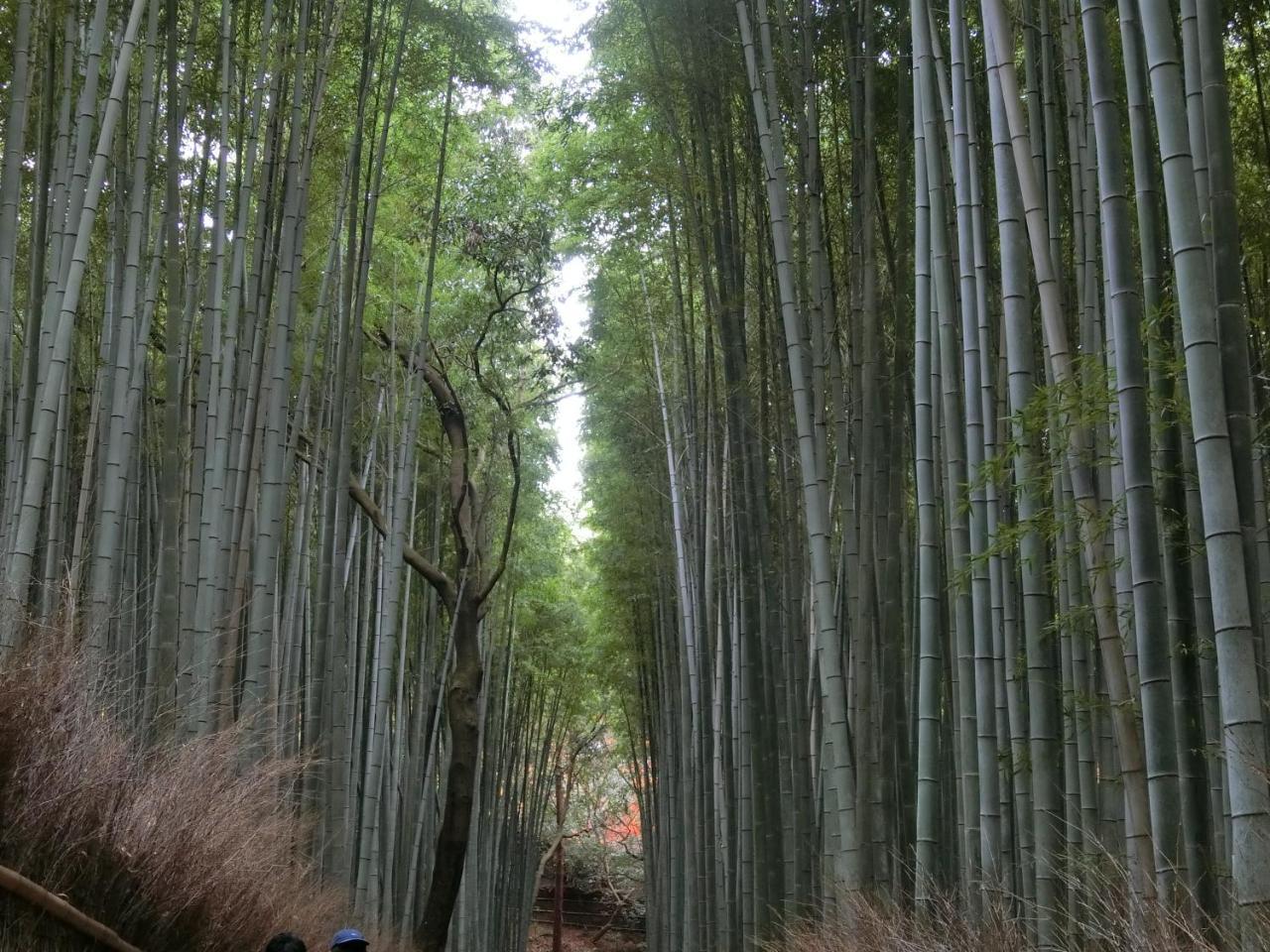 Kawasemi An