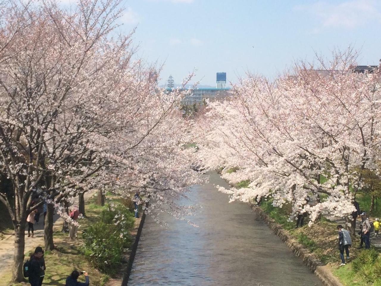 Suzume-an Holiday home *