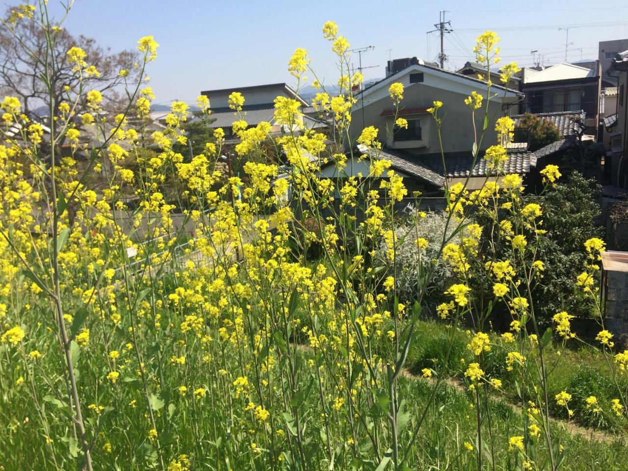 Suzume-an Holiday home *