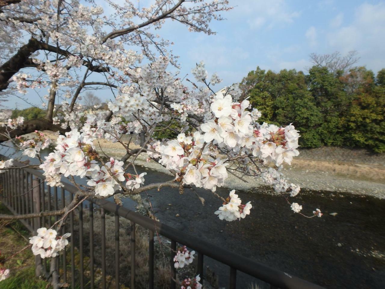 Guest house Kyo No Yado Nishioji