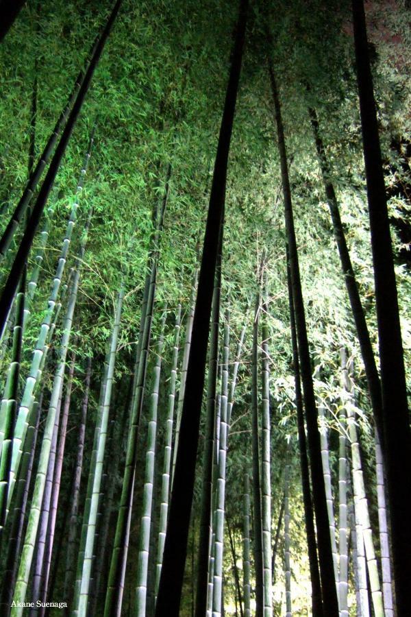 Higashikujo * Kyoto