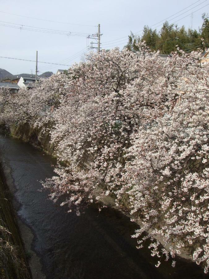 Narutaki Keisenso * Kyoto