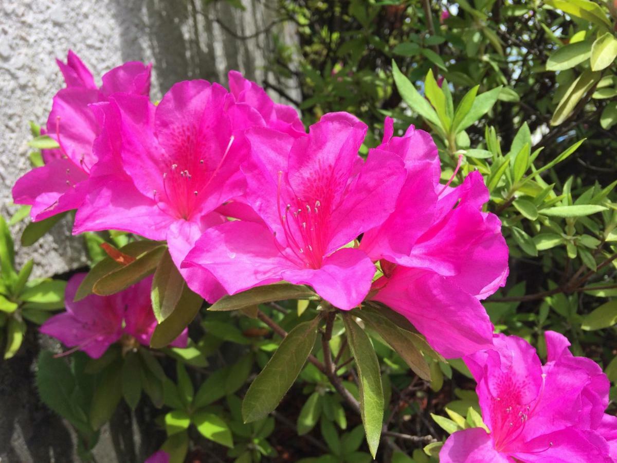 Holiday home Suzume-an