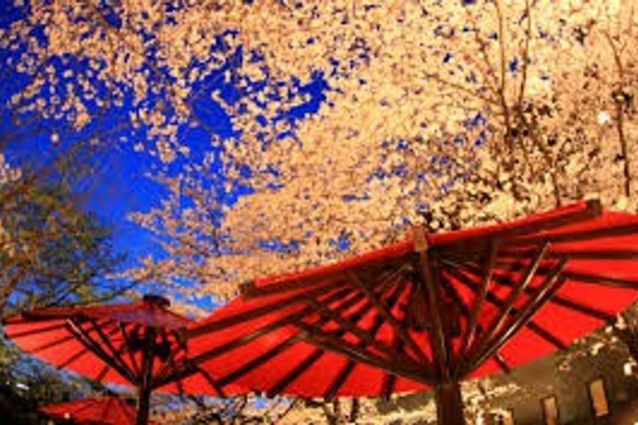 Close To Golden Temple -kinkakuji-