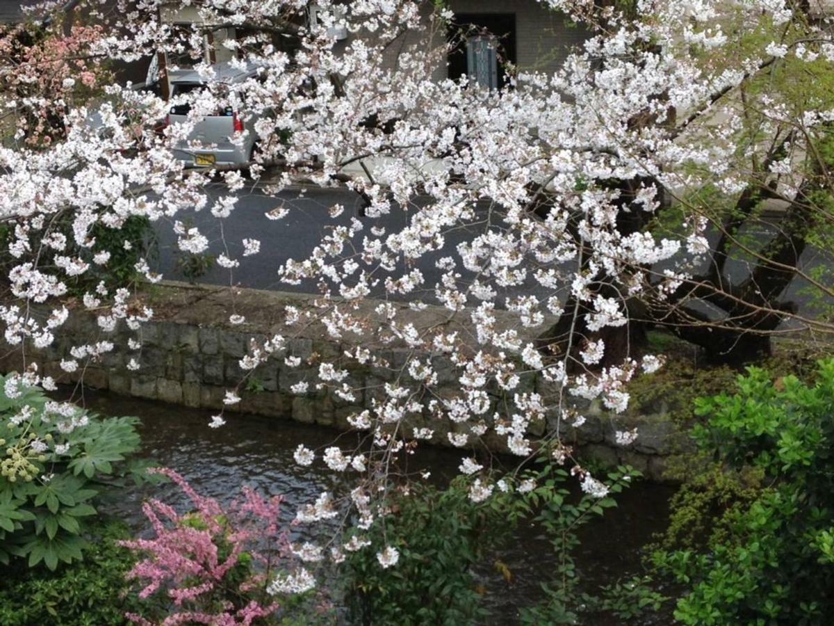 Apartment Close To Golden Temple -kinkakuji- *