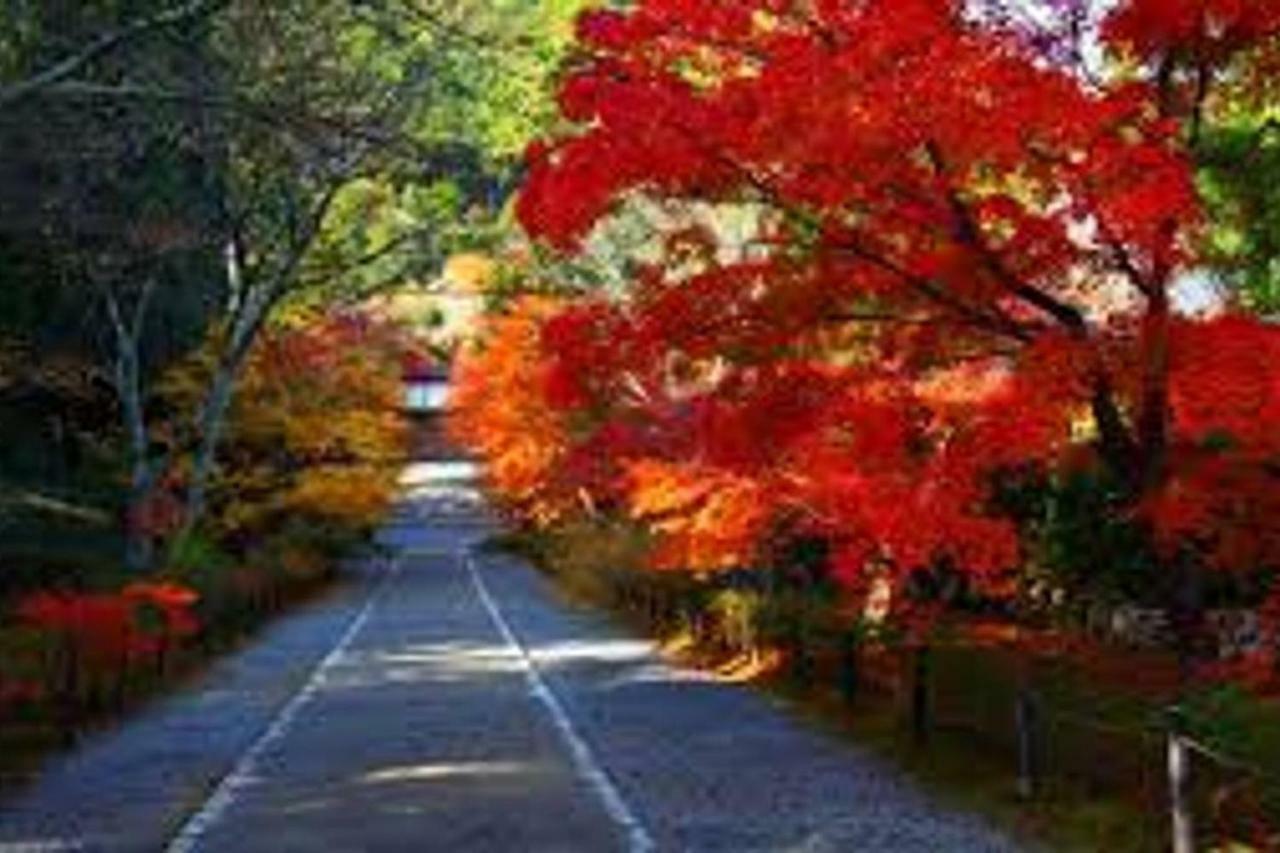 Close To Golden Temple -kinkakuji- * Kyoto