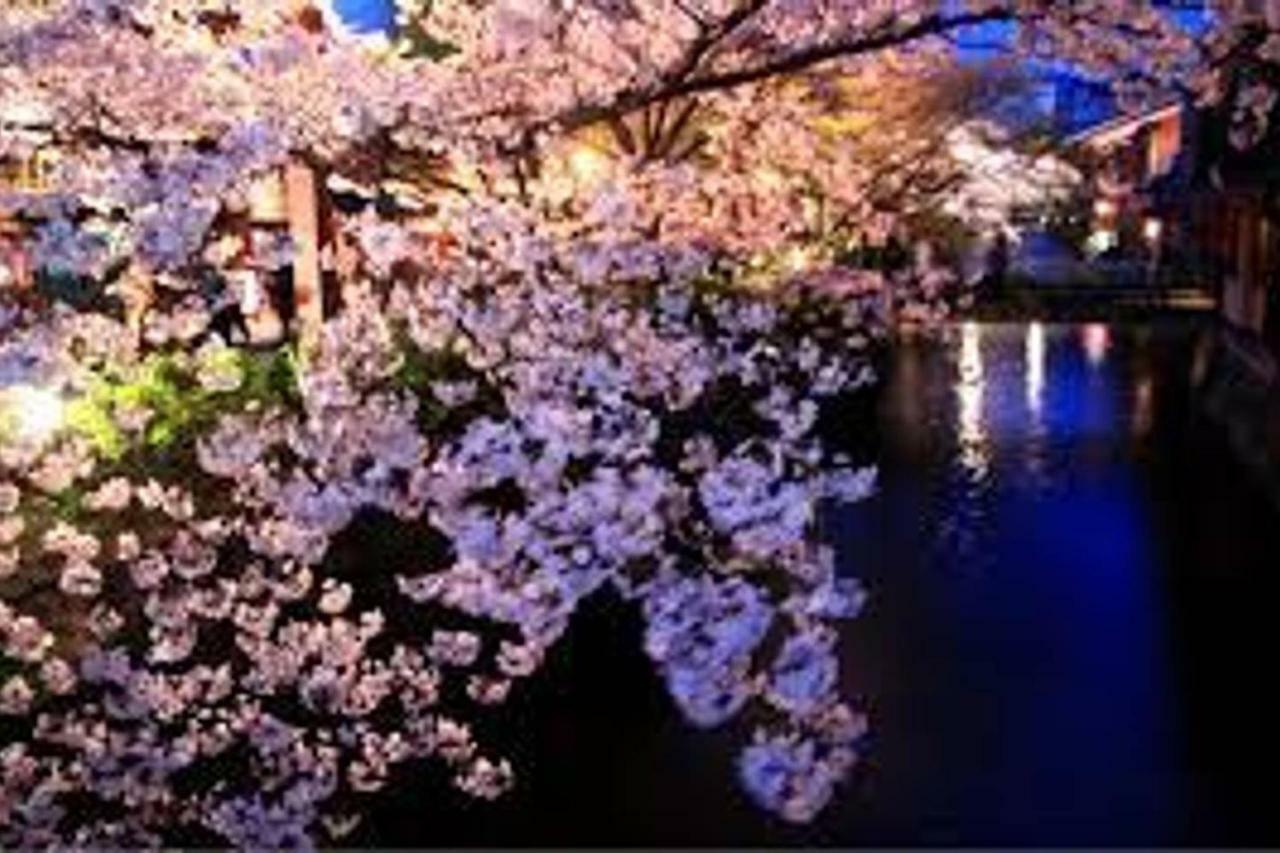 Close To Golden Temple -kinkakuji- * Kyoto