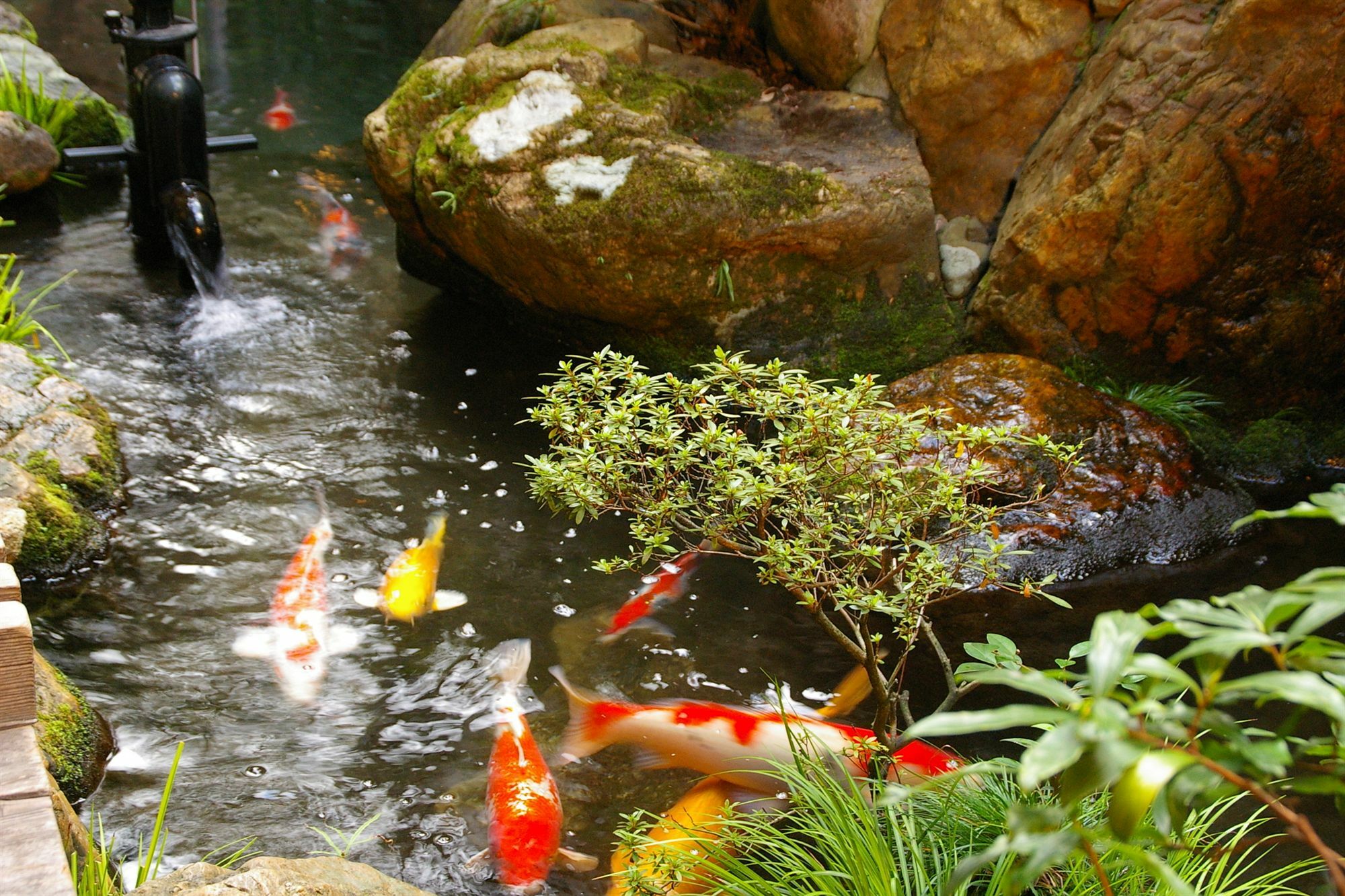 Ryokan Sawaya Honten 2*