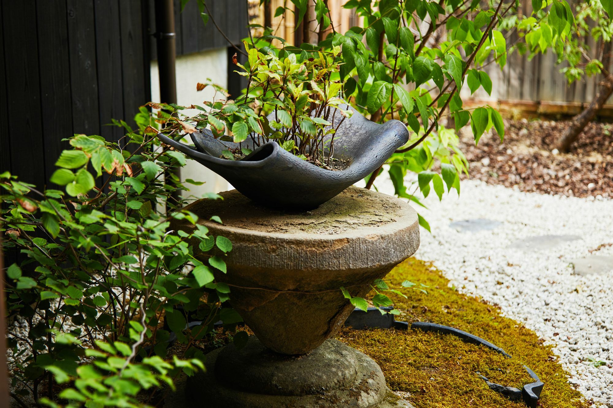 Kyomachiya Mifuku 3* Kyoto