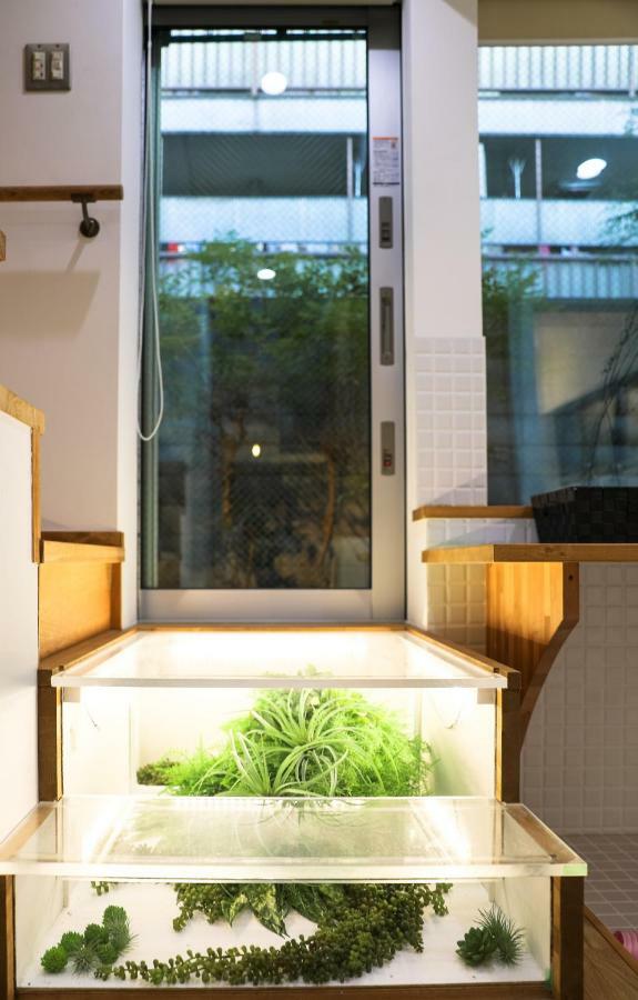 柏 京夢舎 Haku Kyomusha Holiday home