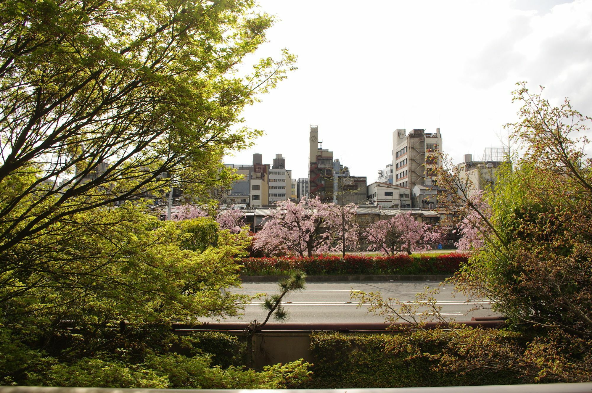 Resi Gion *