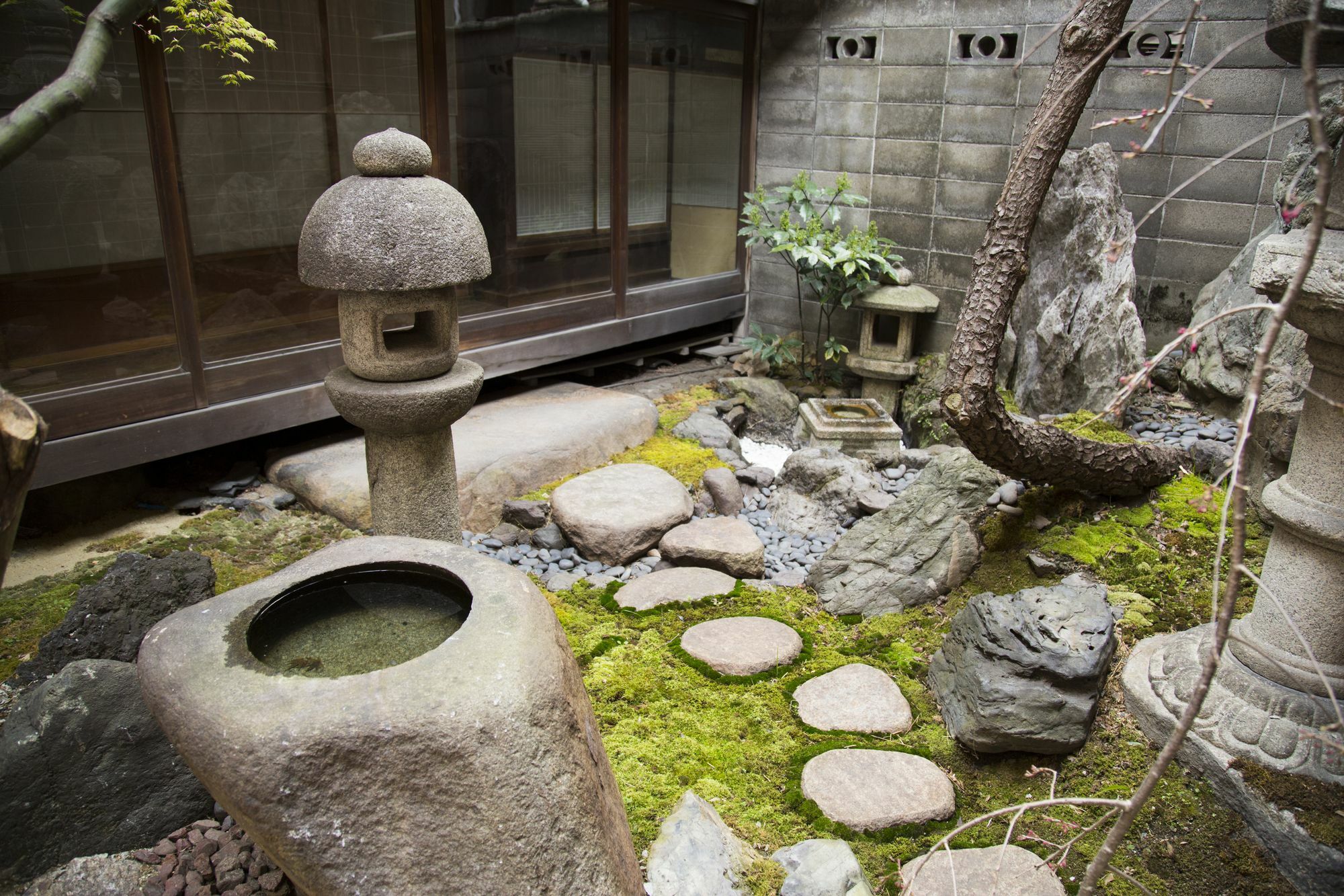 Ayame Kyoto