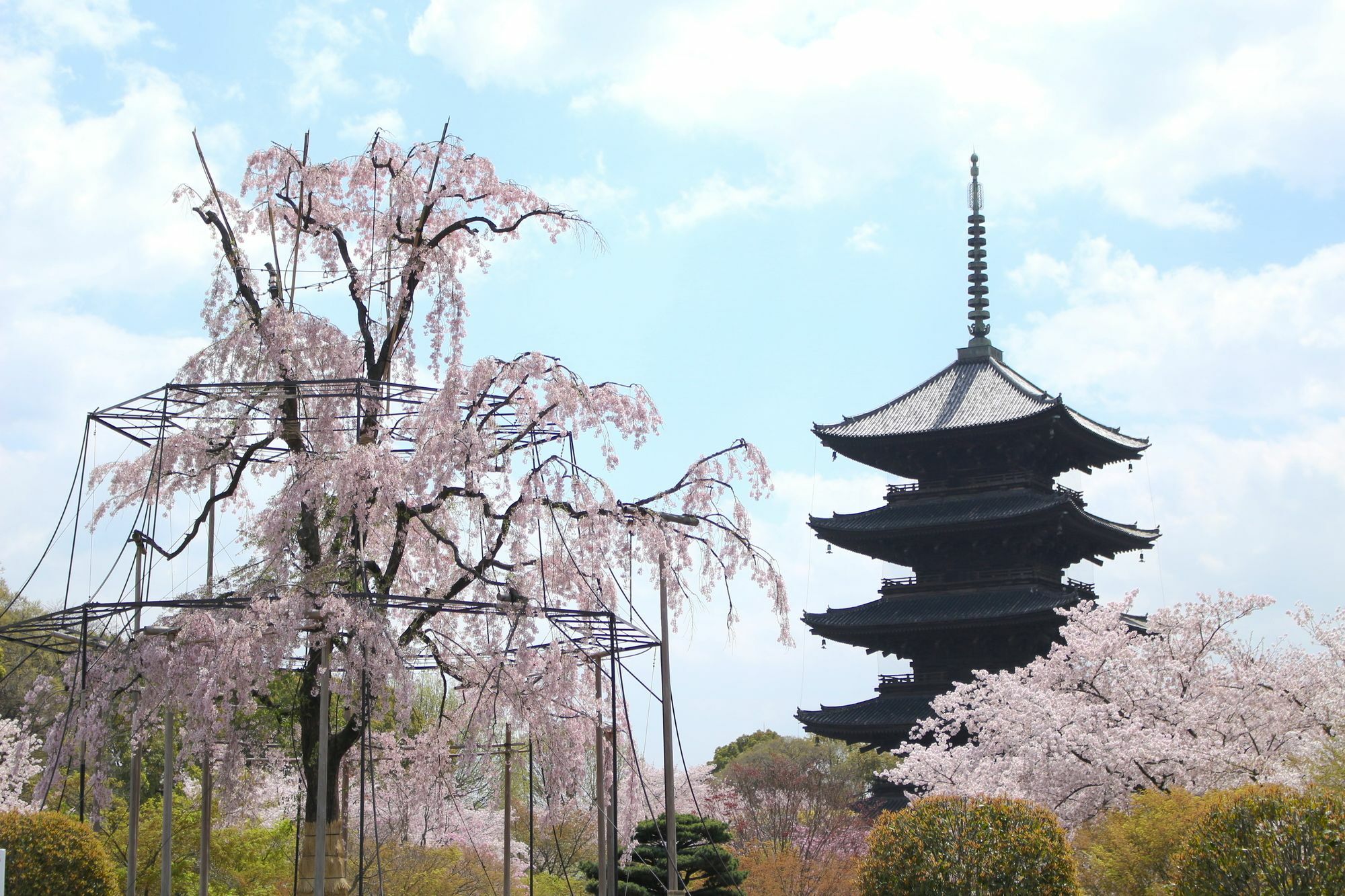 Holiday home Sakura Toji West Ii *