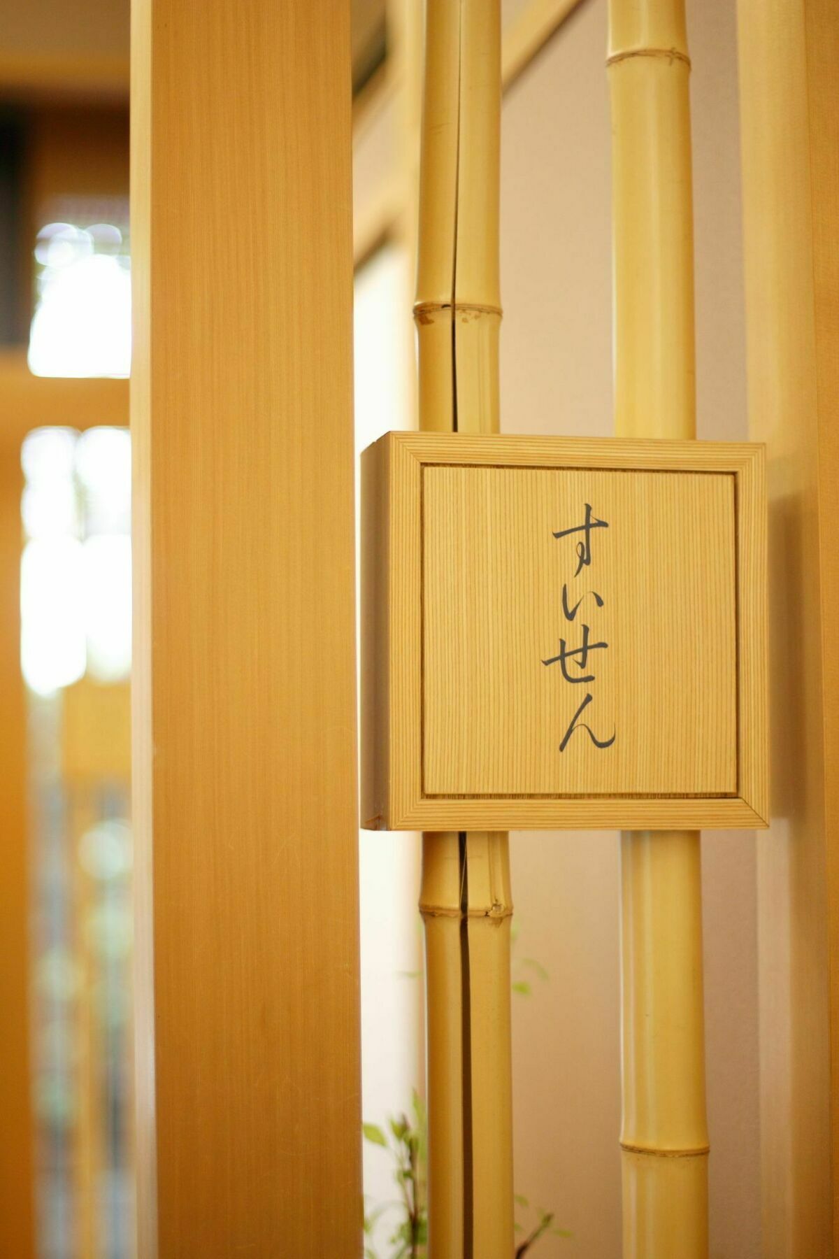 Hotel Garden Palace 3*