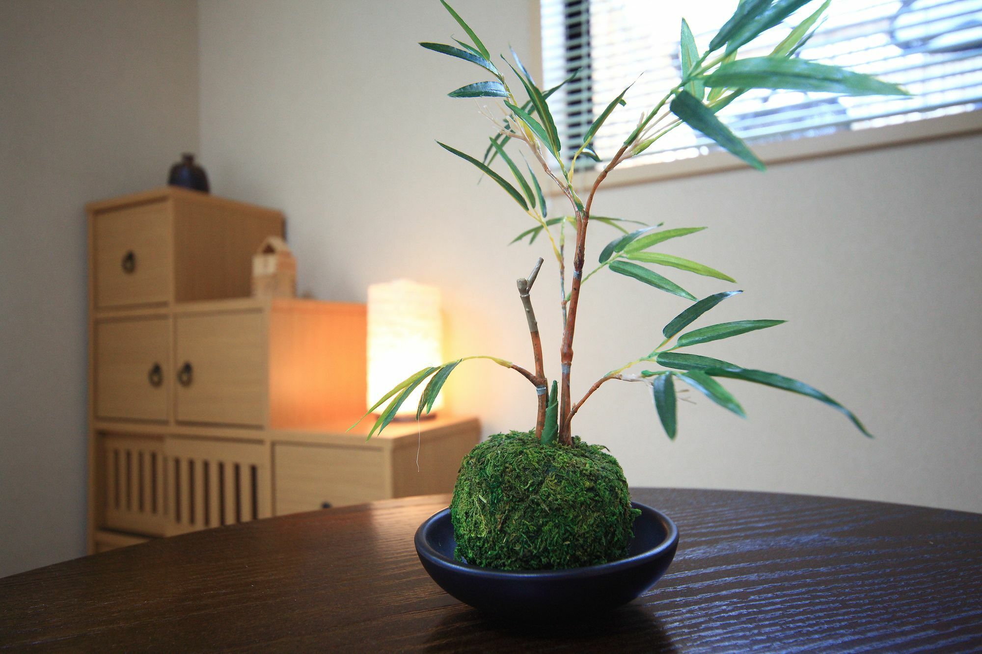 Holiday home Kyo Trust Kyoto