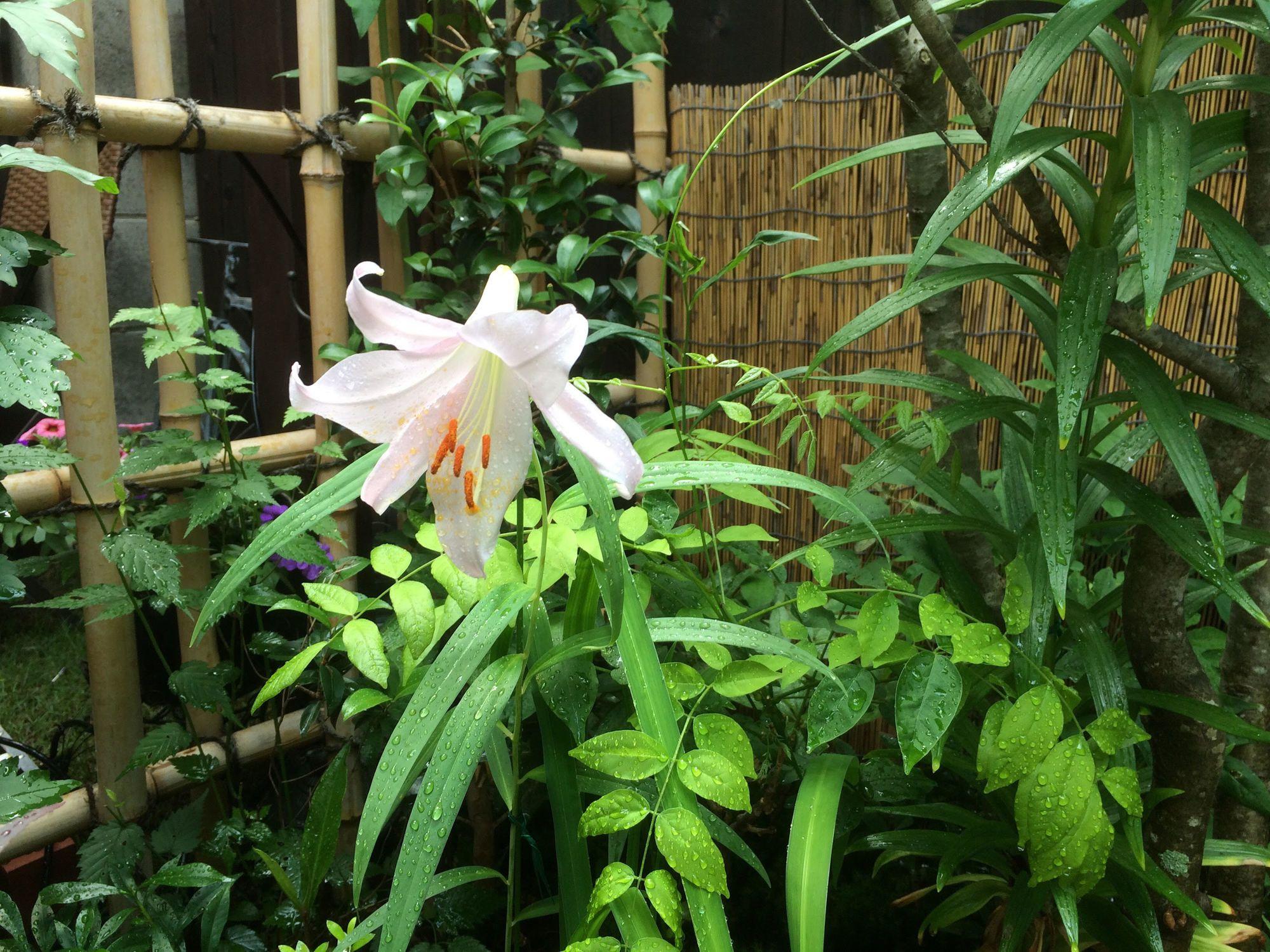 Holiday home Nishijin No Sato 西陣之郷 -100 Yrs Smart & Sustainable Ai Arthouse With 10gbps Wifi -