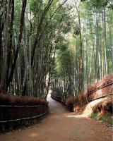 Arashiyama Onsen Saishikino Yado Hanaikada