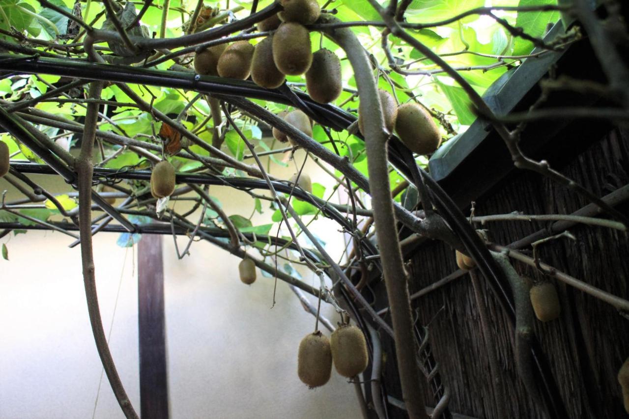 Guest house Higurashi-sou Kyoto