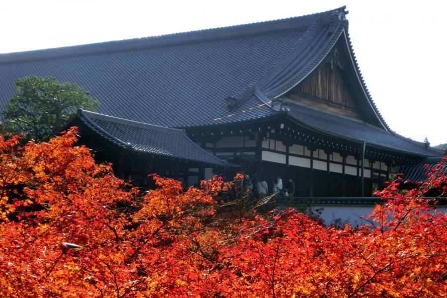 Yutaka