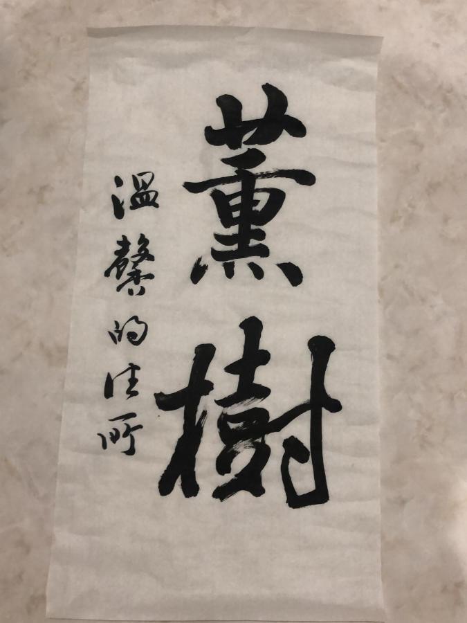 Bahay bakasyunan 薫樹xiang Po Po *
