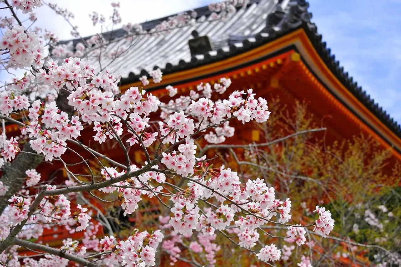 Kyomai Ryokan 3*