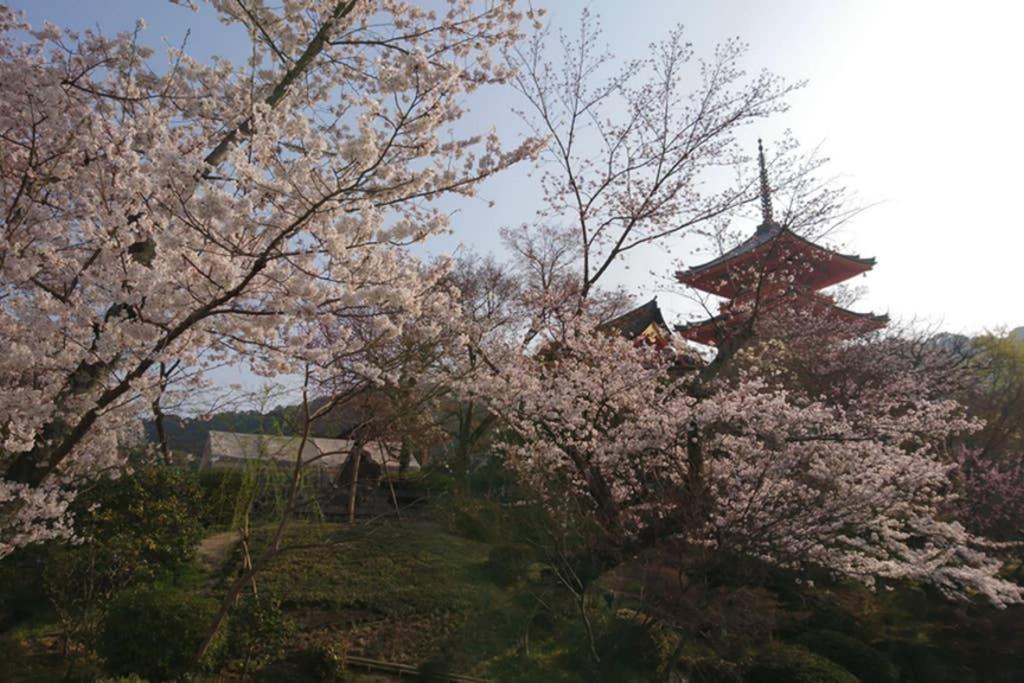 東山清水 友庵 * Kyoto