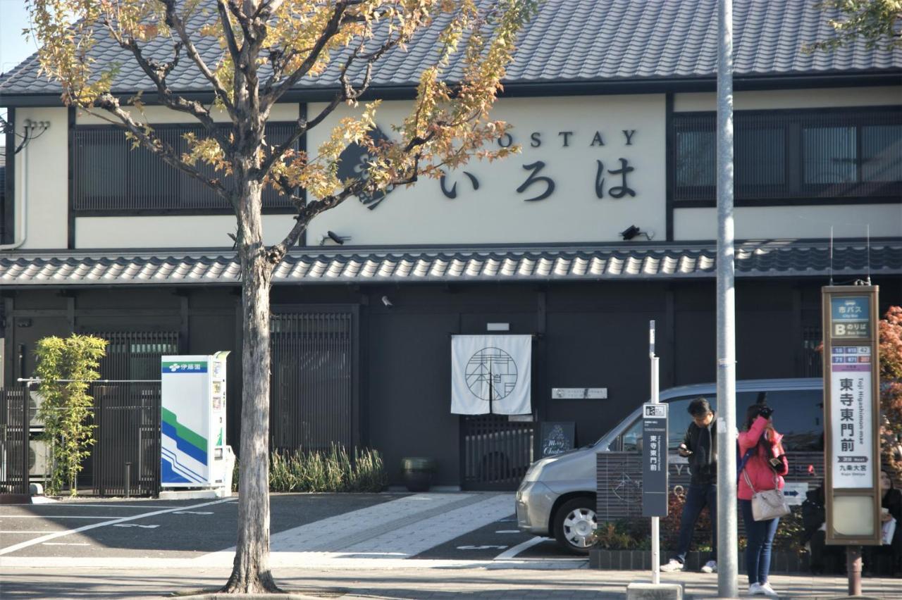 Kyostay いろは 夏椿 Iroha Natsutsubaki *