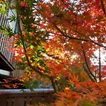 Imakumano Terrace - Dohachi An 道八庵