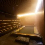 Kyoto Hot Spring Hatoya Zuihokaku Hotel