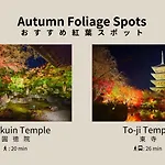 Bon Kyoto Kiyomizu