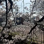 Mont-モン-Kamogawa Stay And Hotel
