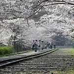 Neneko House