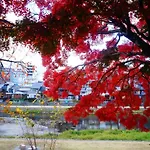 Kyomachiya House Izo