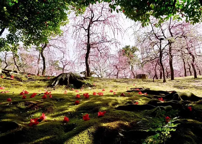京都東福寺 逸苑