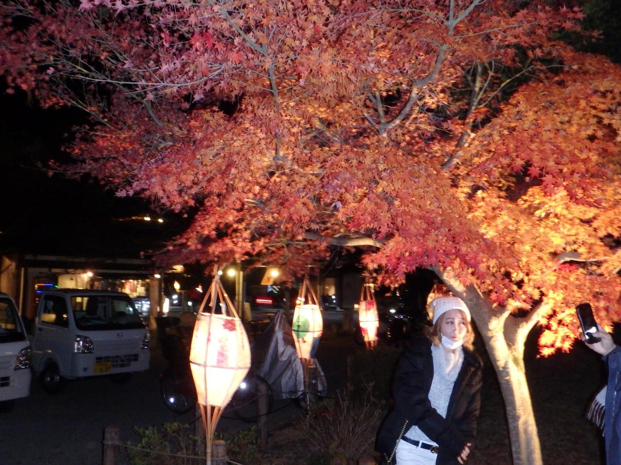 Guest house 京の宿 西大路 Familie Kyoto