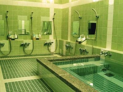 Ryokan Matsumoto 3*