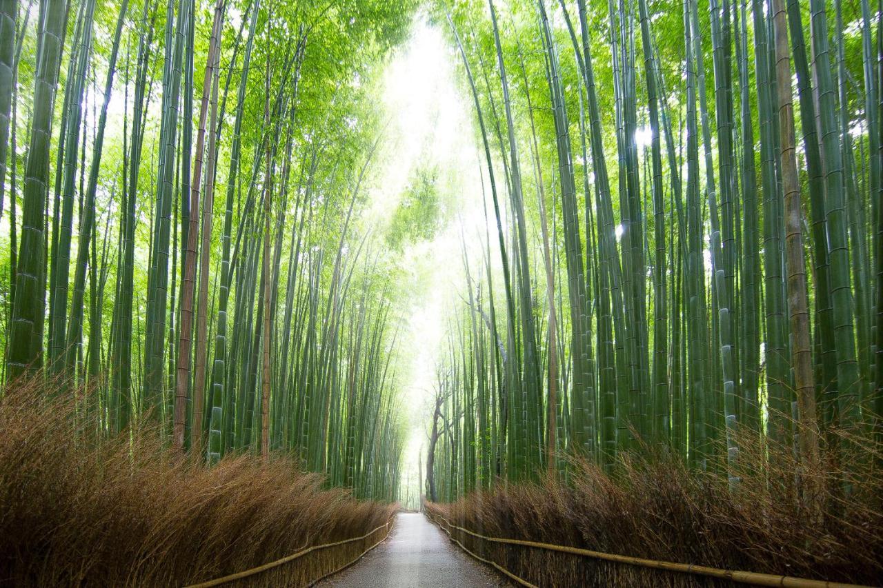Binario Saga Arashiyama