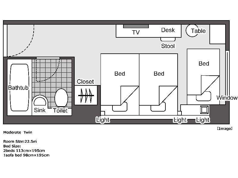 Hotel New Hankyu 4*