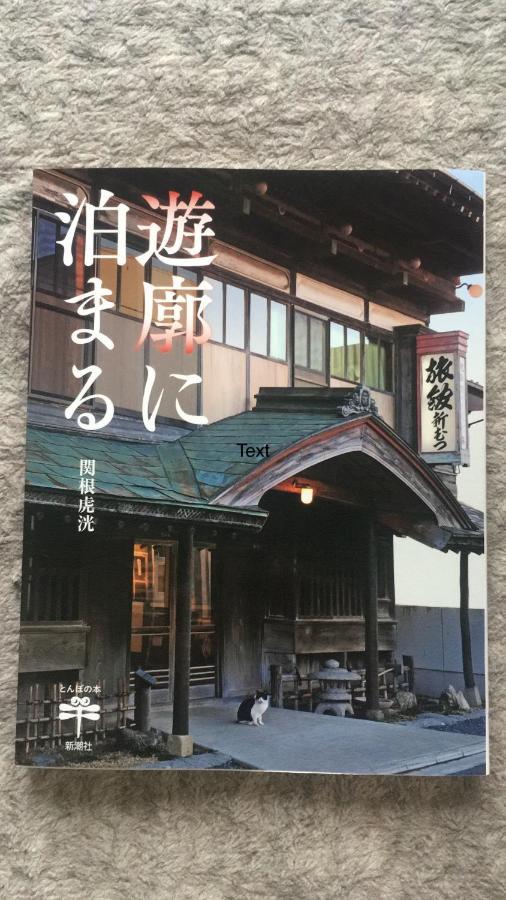 Yadoya Hiraiwa Ryokan 2*