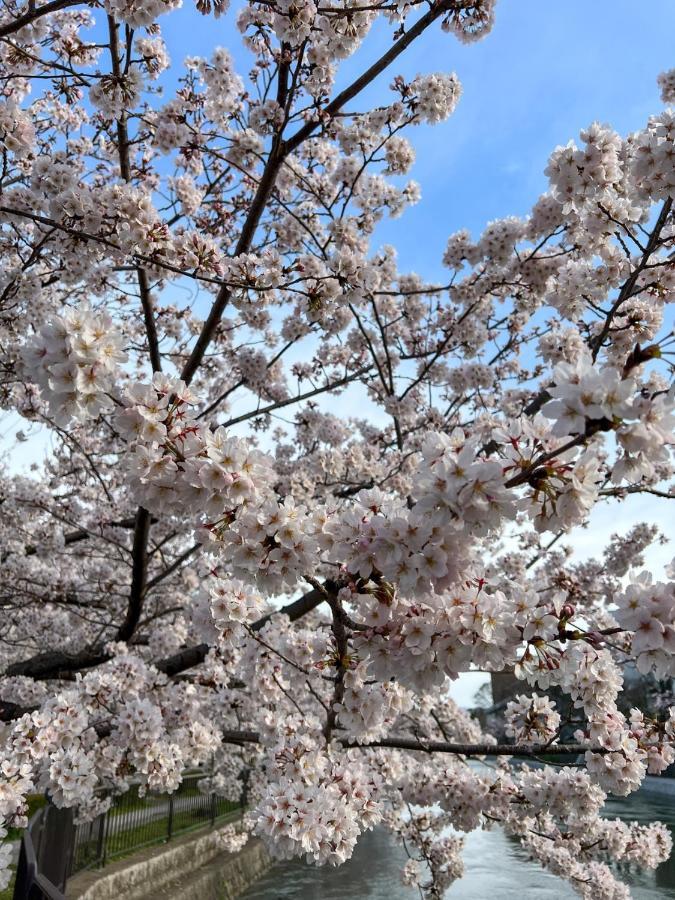 Hotel Rinn Niomon Kyoto