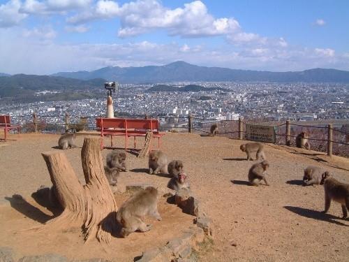 Togetsutei 3* Kyoto