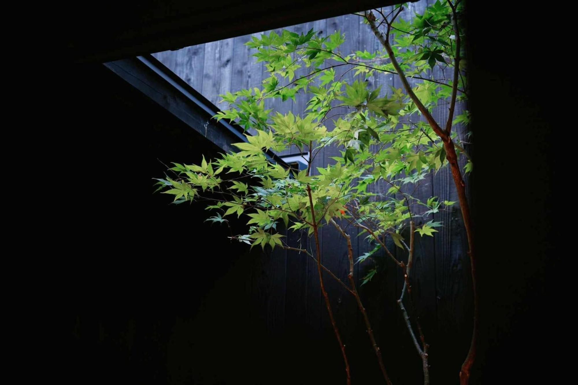 Machiya Zeniyacho Holiday home Kyoto