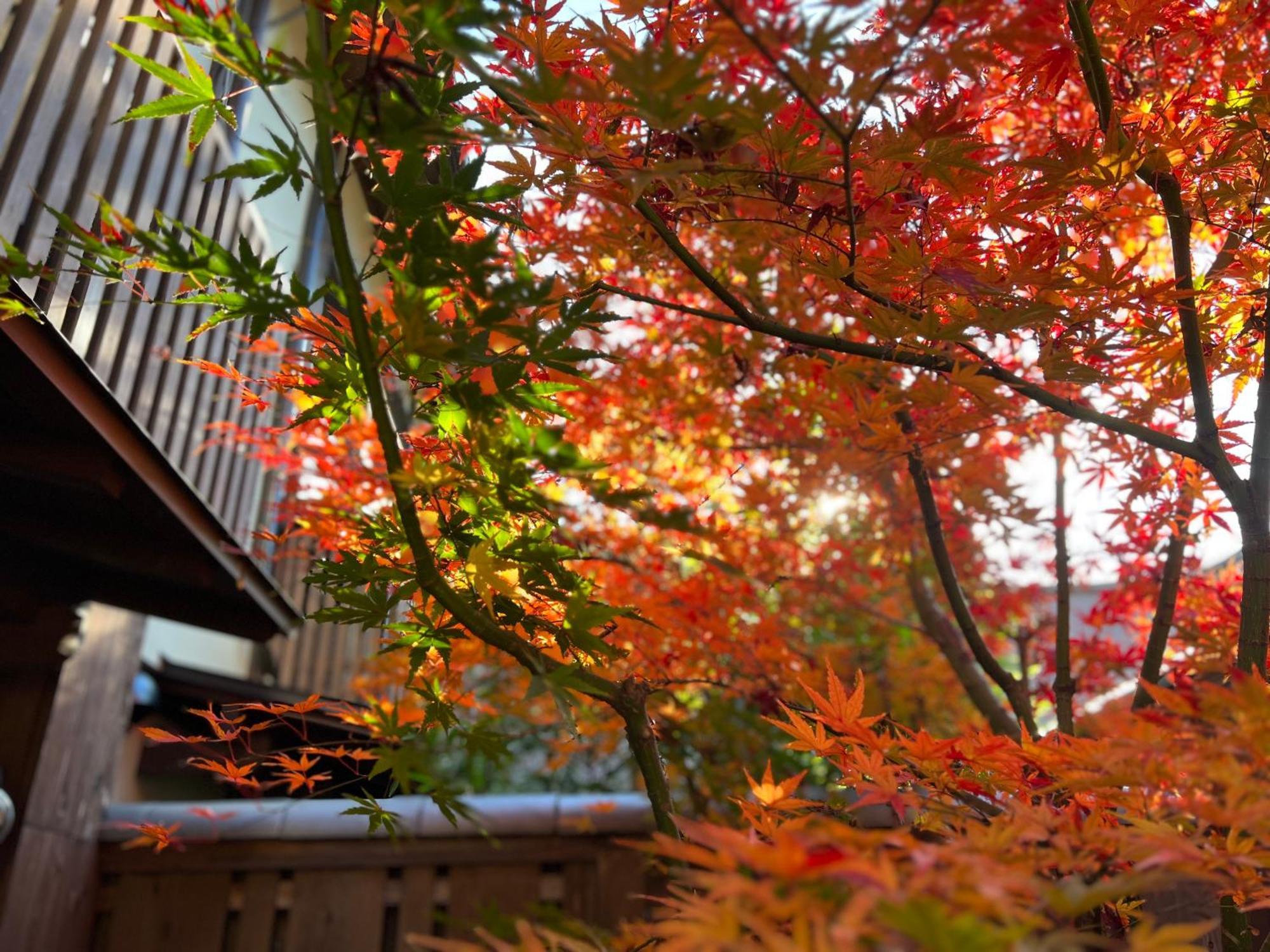 Imakumano Terrace - Dohachi An 道八庵 Kyoto