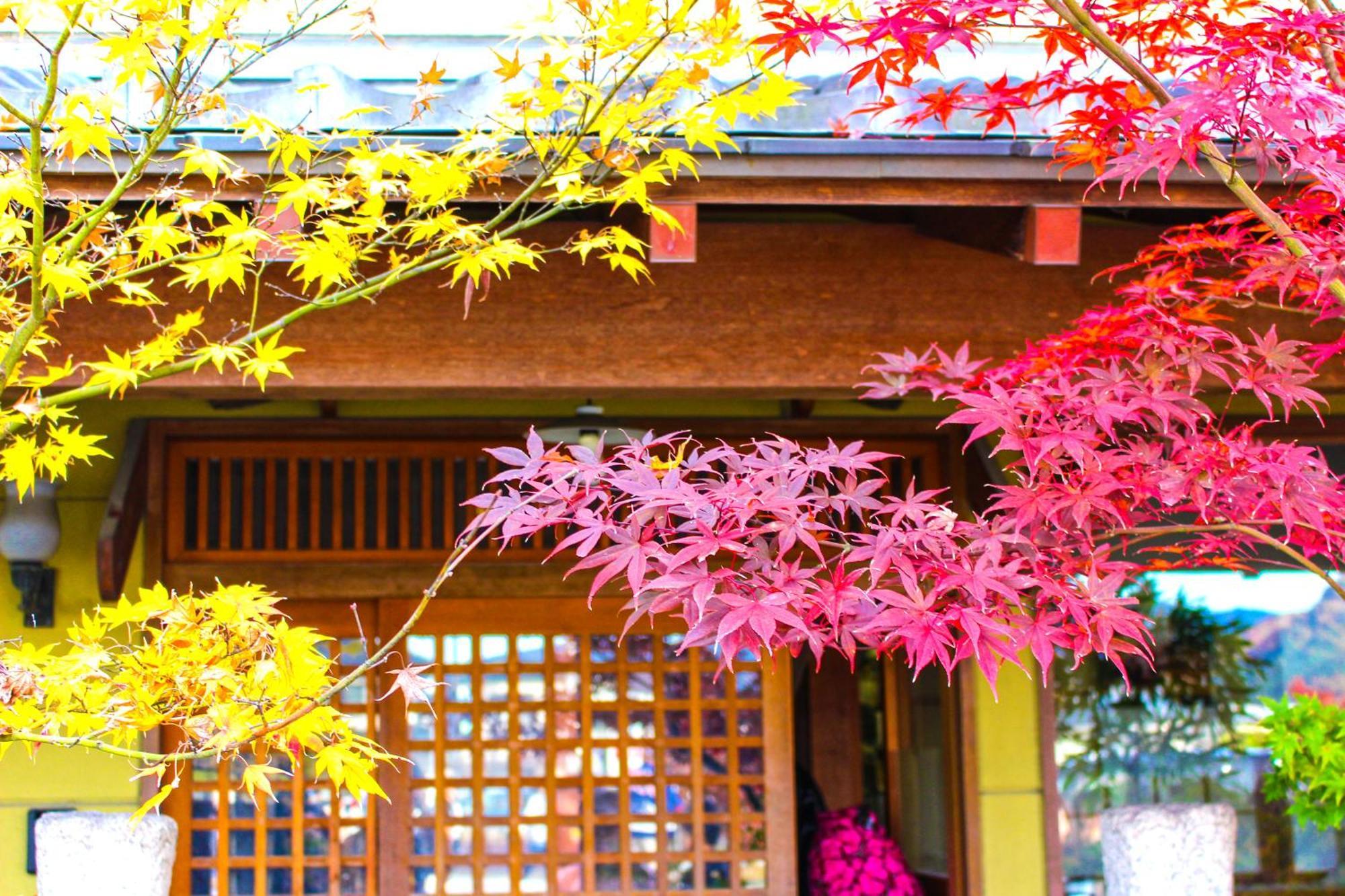 Holiday home Sakura Nijo Castle West I